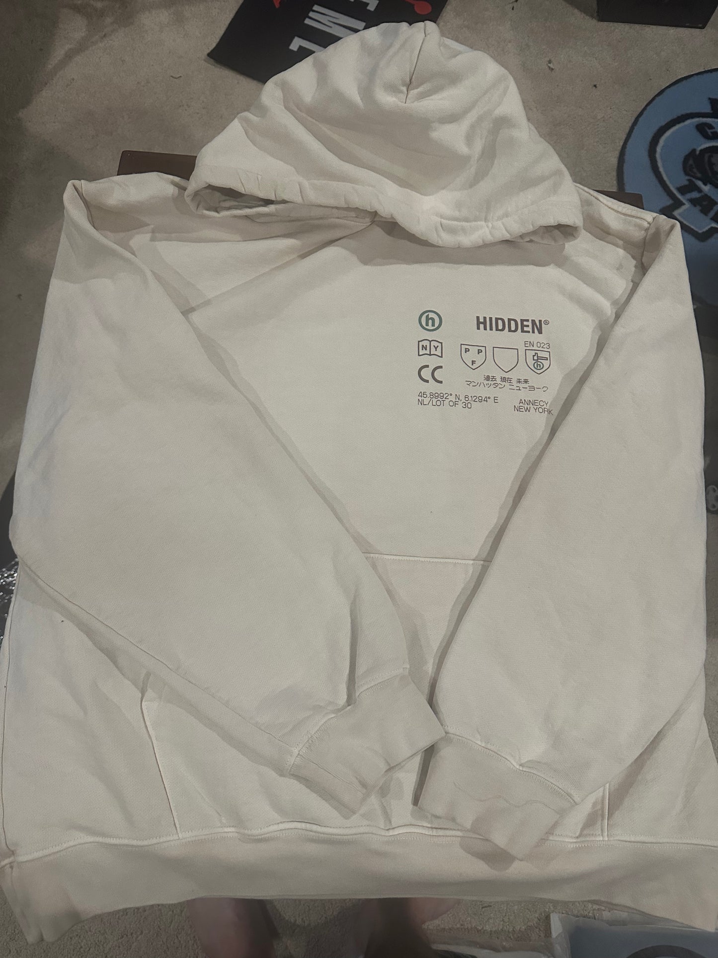 Hidden NY Hoodie