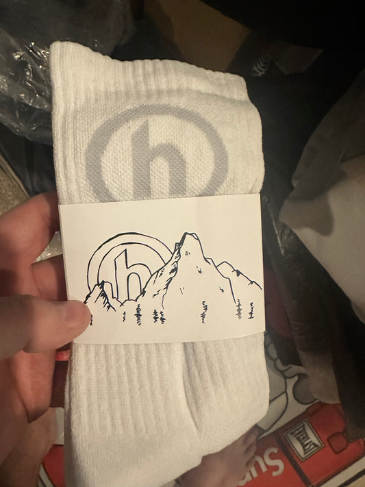 Hidden NY Socks